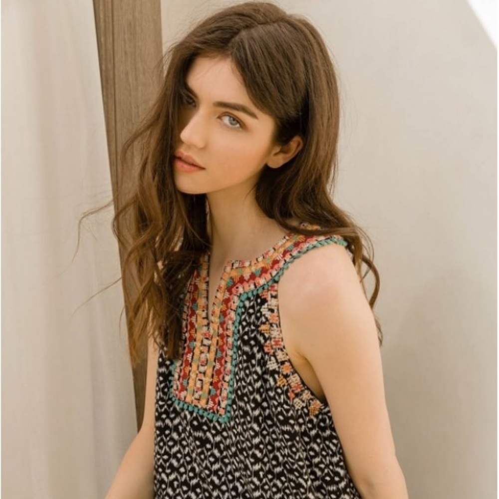 NWT printed embroidered dress by THML